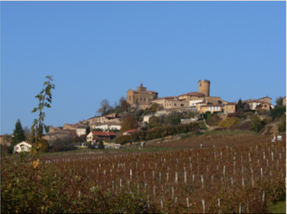 Actualités Domaine du Crêt de Bine