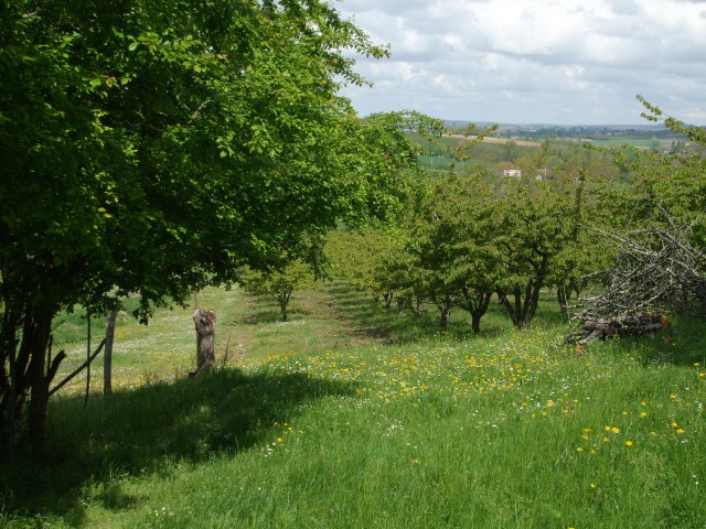 Actualités de la Ferme du Capellet